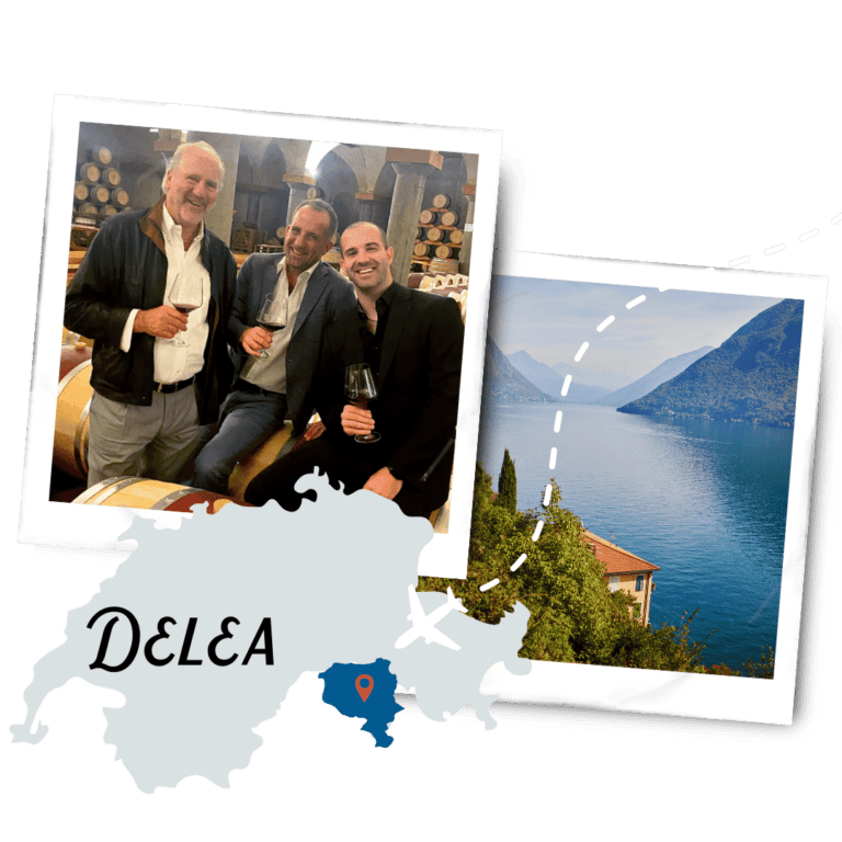 Delea Ticino Region