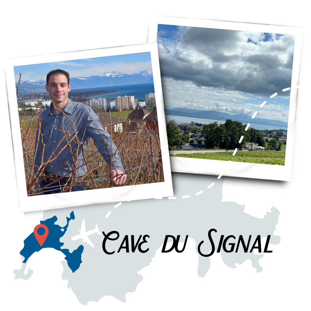 Cave Du Signal Polaroid Collage