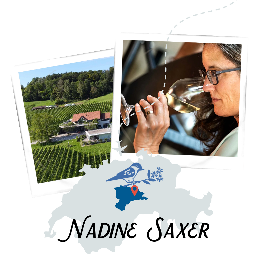 Nadine Saxer (5)