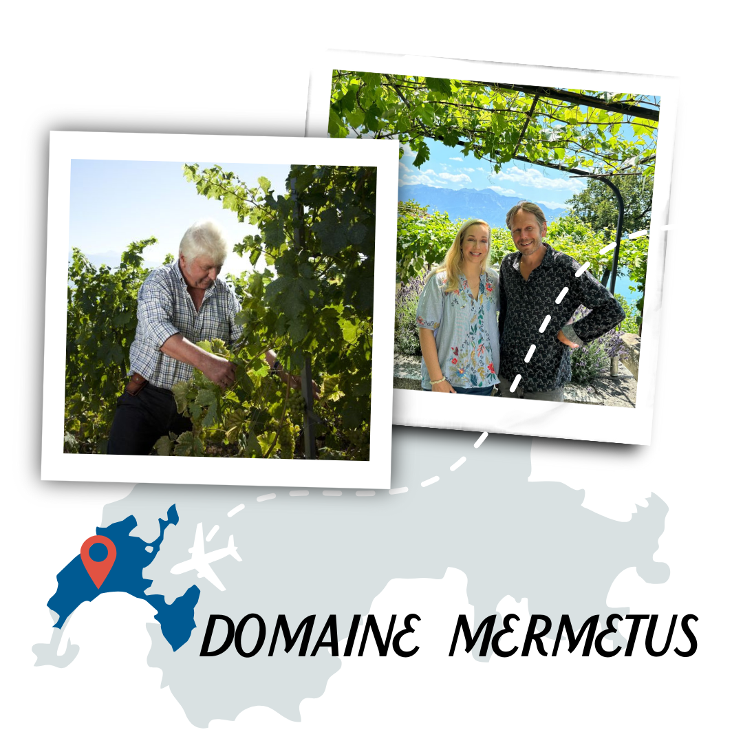 Domaine Mermetus Polaroid Collage-2