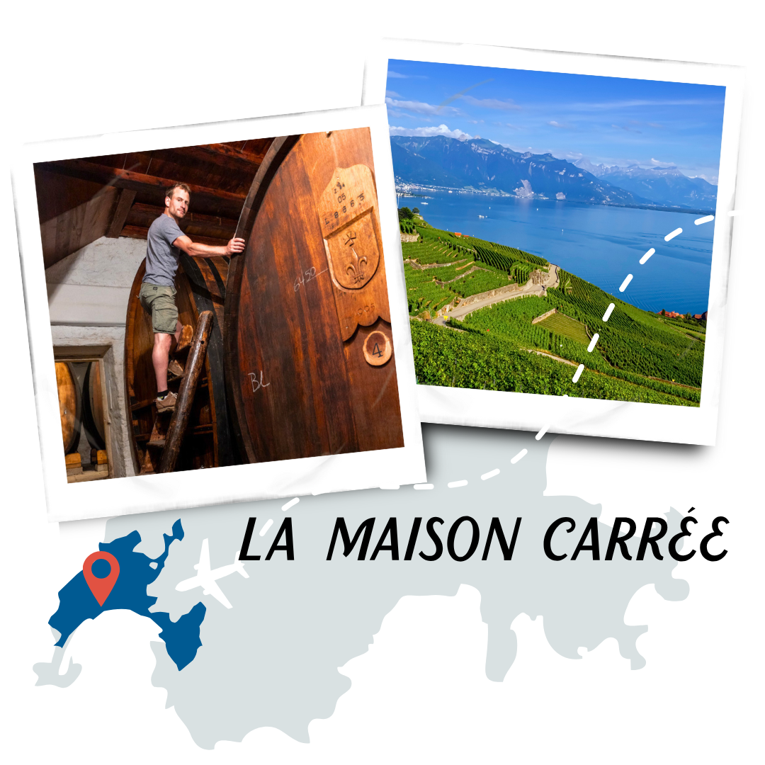 la maison carrée Polaroid Collage