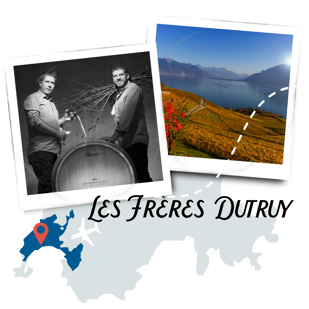 Les Frères Dutruy Polaroid Collage